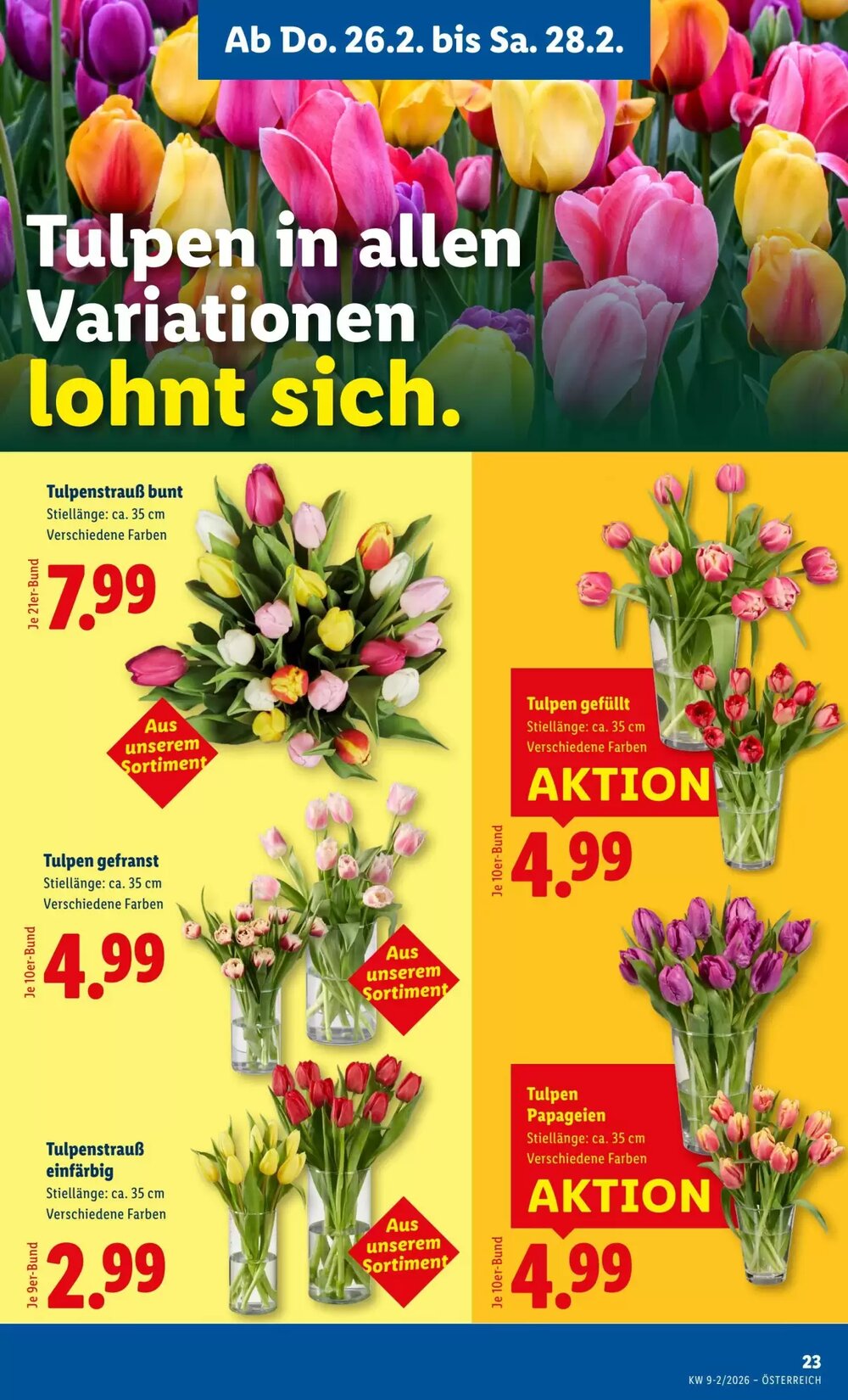 Lidl Flugblatt (ab 26.02.2026) - Angebote und Prospekt - Seite 25