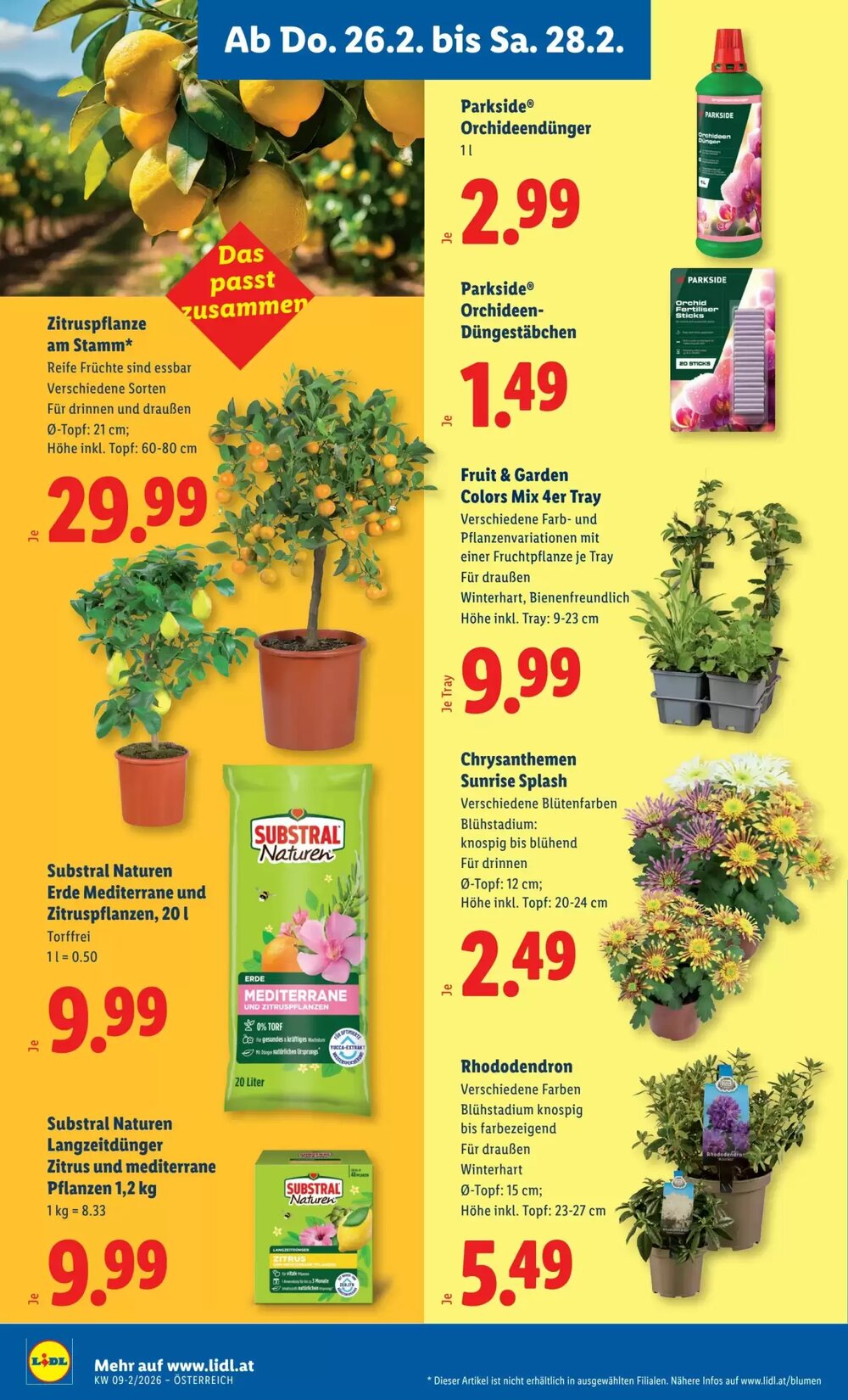 Lidl Flugblatt (ab 26.02.2026) - Angebote und Prospekt - Seite 26