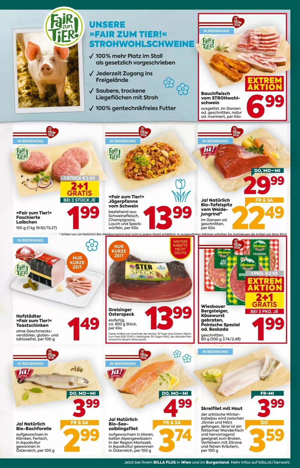 Billa Flugblatt (ab 26.02.2026) - Angebote und Prospekt - Seite 9