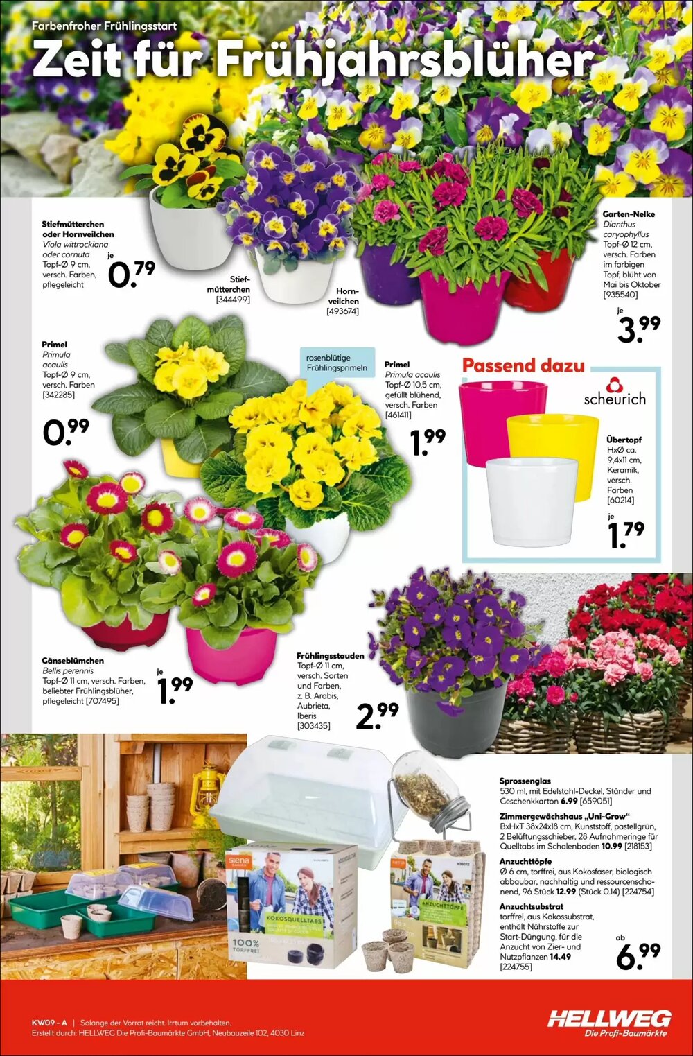 Hellweg Flugblatt (ab 26.02.2026) - Angebote und Prospekt - Seite 15