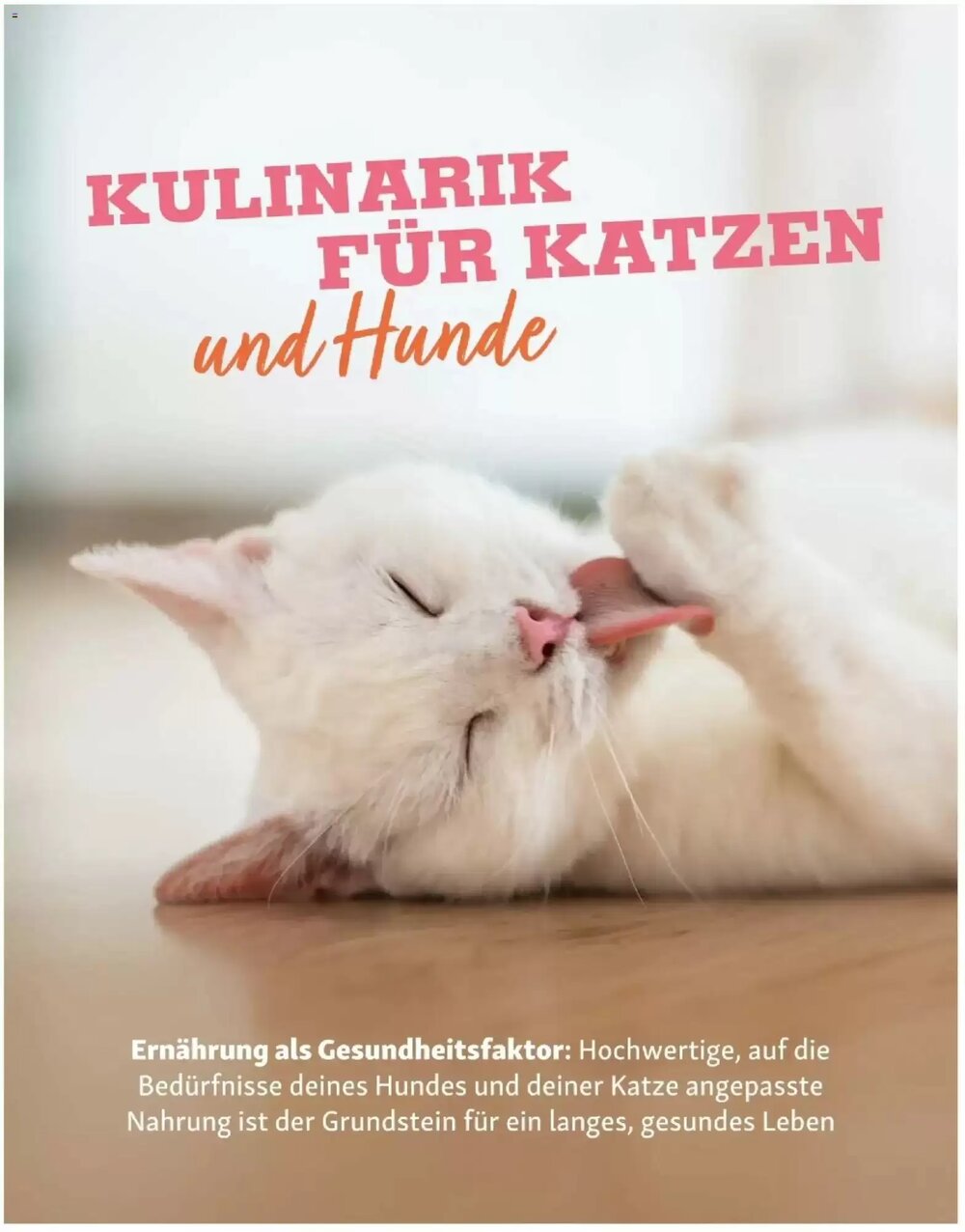 Fressnapf Flugblatt (ab 01.03.2026) - Angebote und Prospekt - Seite 16