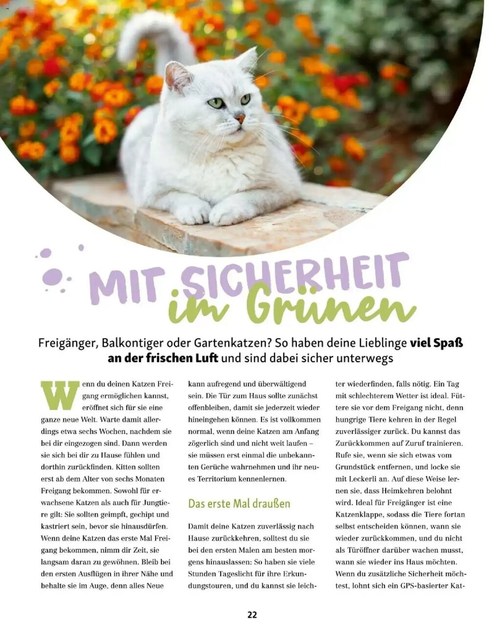 Fressnapf Flugblatt (ab 01.03.2026) - Angebote und Prospekt - Seite 22