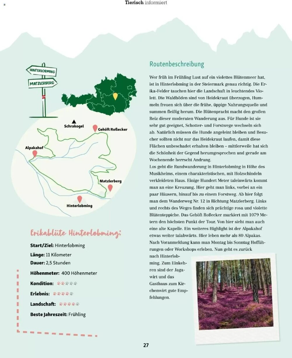 Fressnapf Flugblatt (ab 01.03.2026) - Angebote und Prospekt - Seite 27
