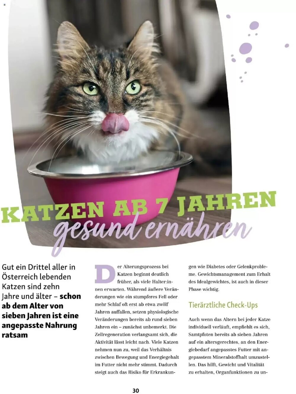 Fressnapf Flugblatt (ab 01.03.2026) - Angebote und Prospekt - Seite 30