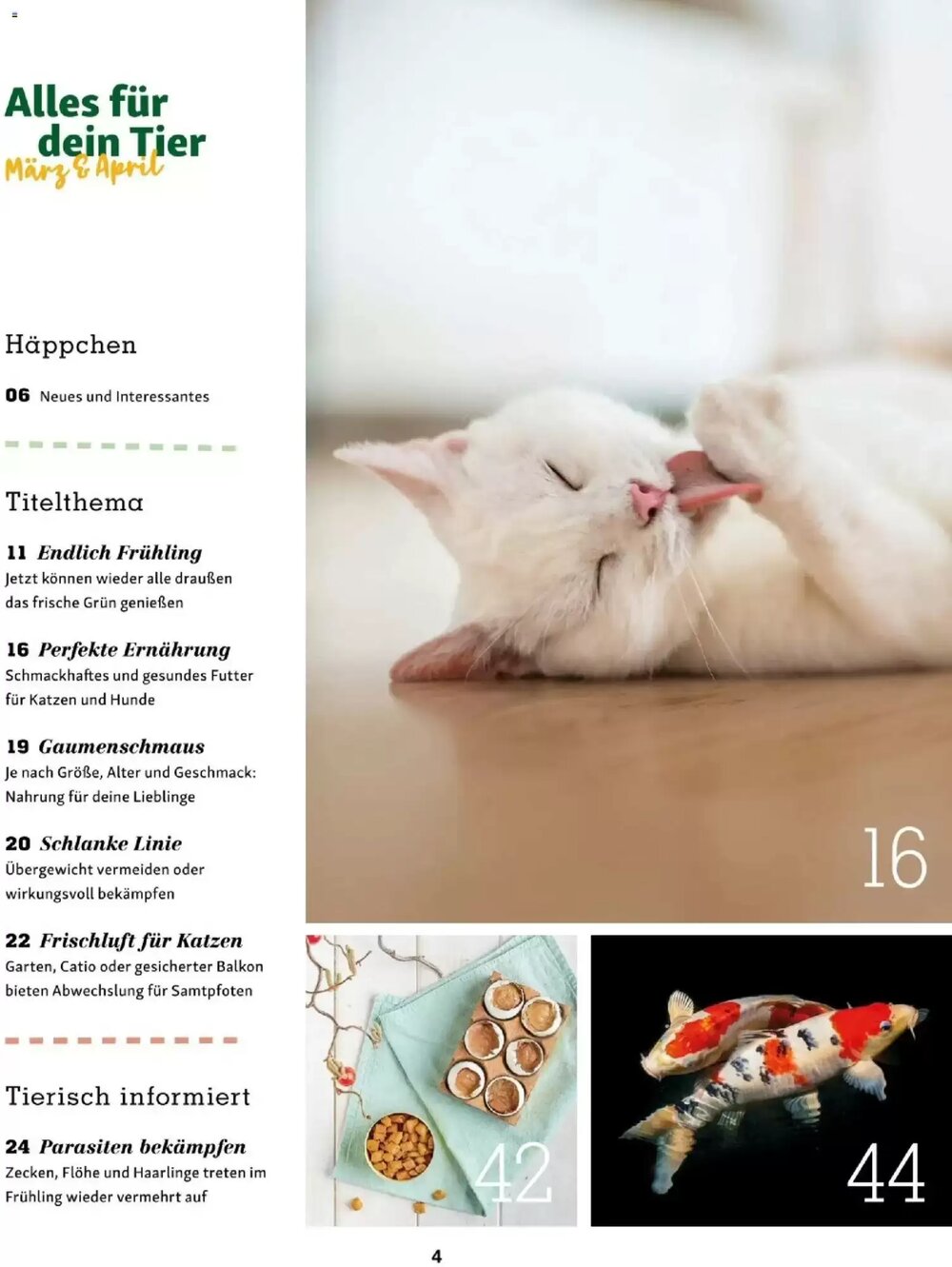 Fressnapf Flugblatt (ab 01.03.2026) - Angebote und Prospekt - Seite 4