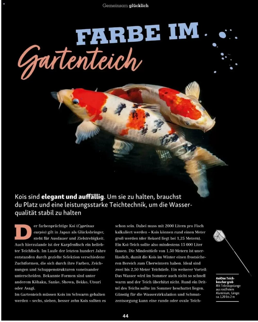 Fressnapf Flugblatt (ab 01.03.2026) - Angebote und Prospekt - Seite 44