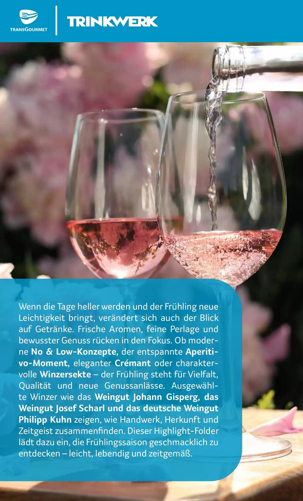 Transgourmet Flugblatt (ab 02.03.2026) - Angebote und Prospekt - Seite 2