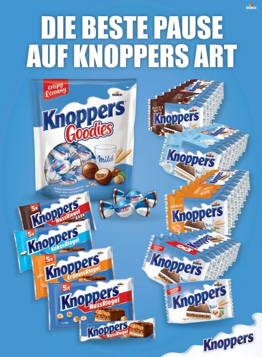 PENNY Flugblatt (ab 02.03.2026) - Angebote und Prospekt - Seite 5