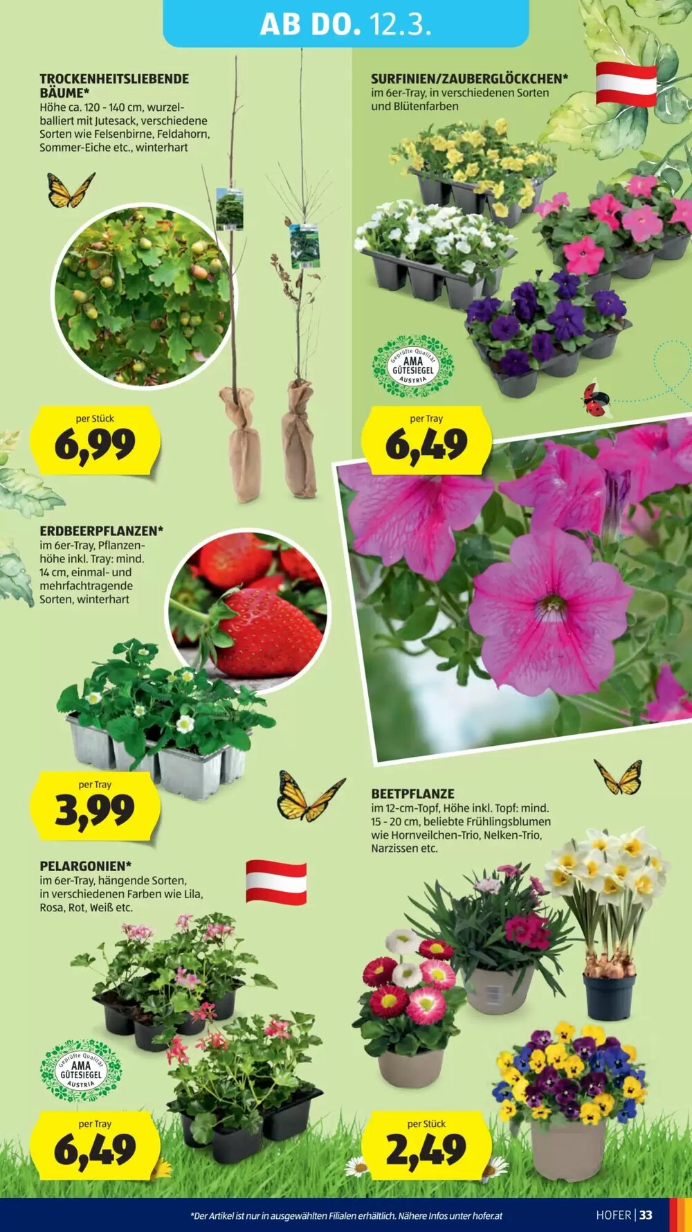 Hofer Flugblatt (ab 04.03.2026) - Angebote und Prospekt - Seite 41