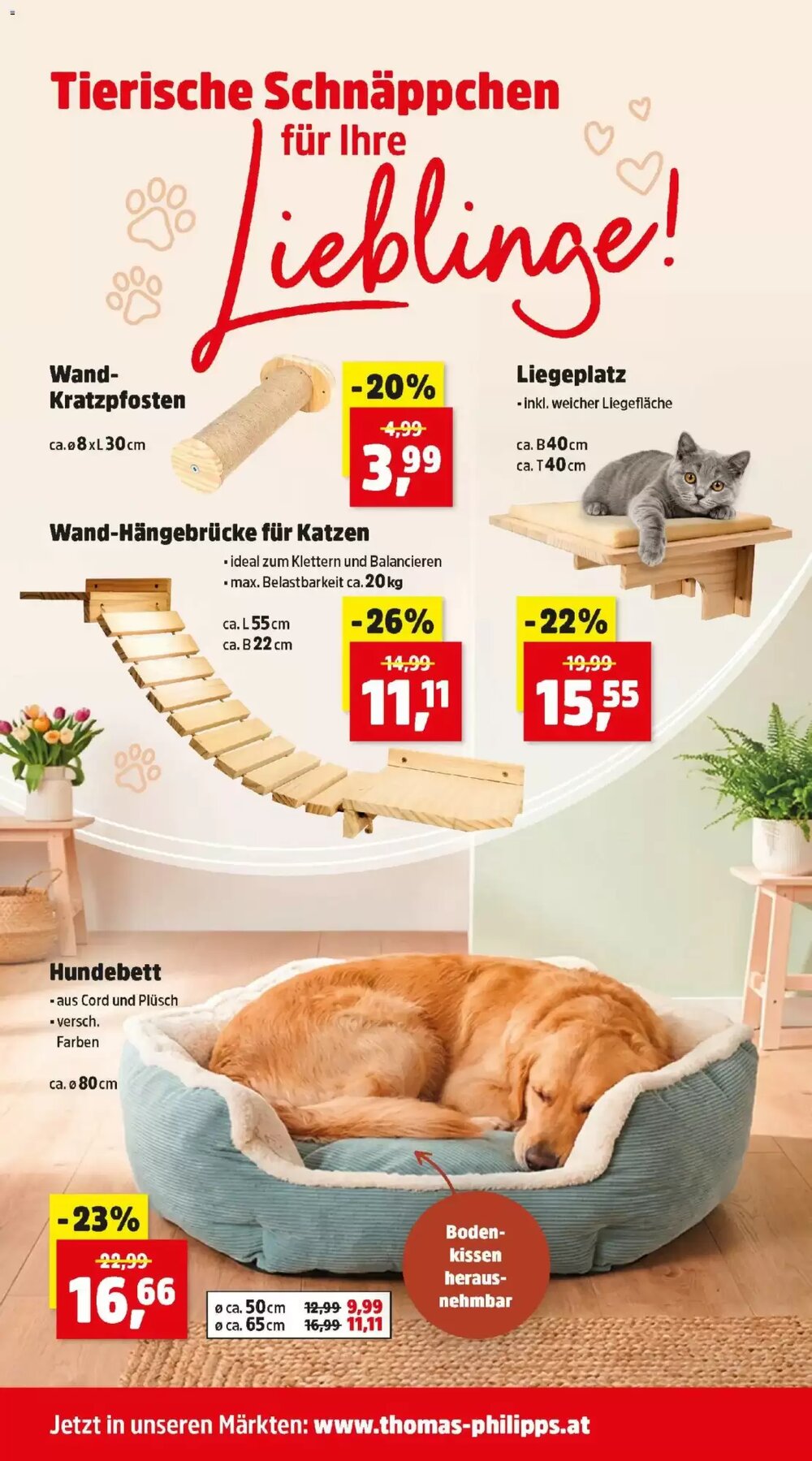 Thomas Philipps Flugblatt (ab 09.03.2026) - Angebote und Prospekt - Seite 13