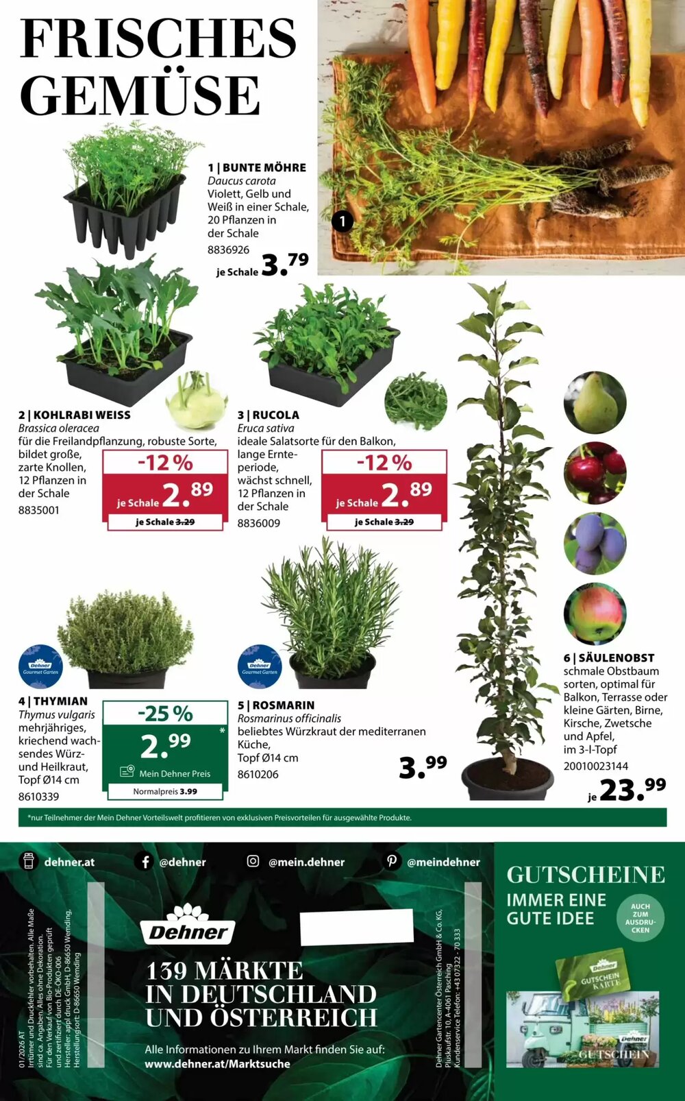 Dehner Flugblatt (ab 11.03.2026) - Angebote und Prospekt - Seite 16