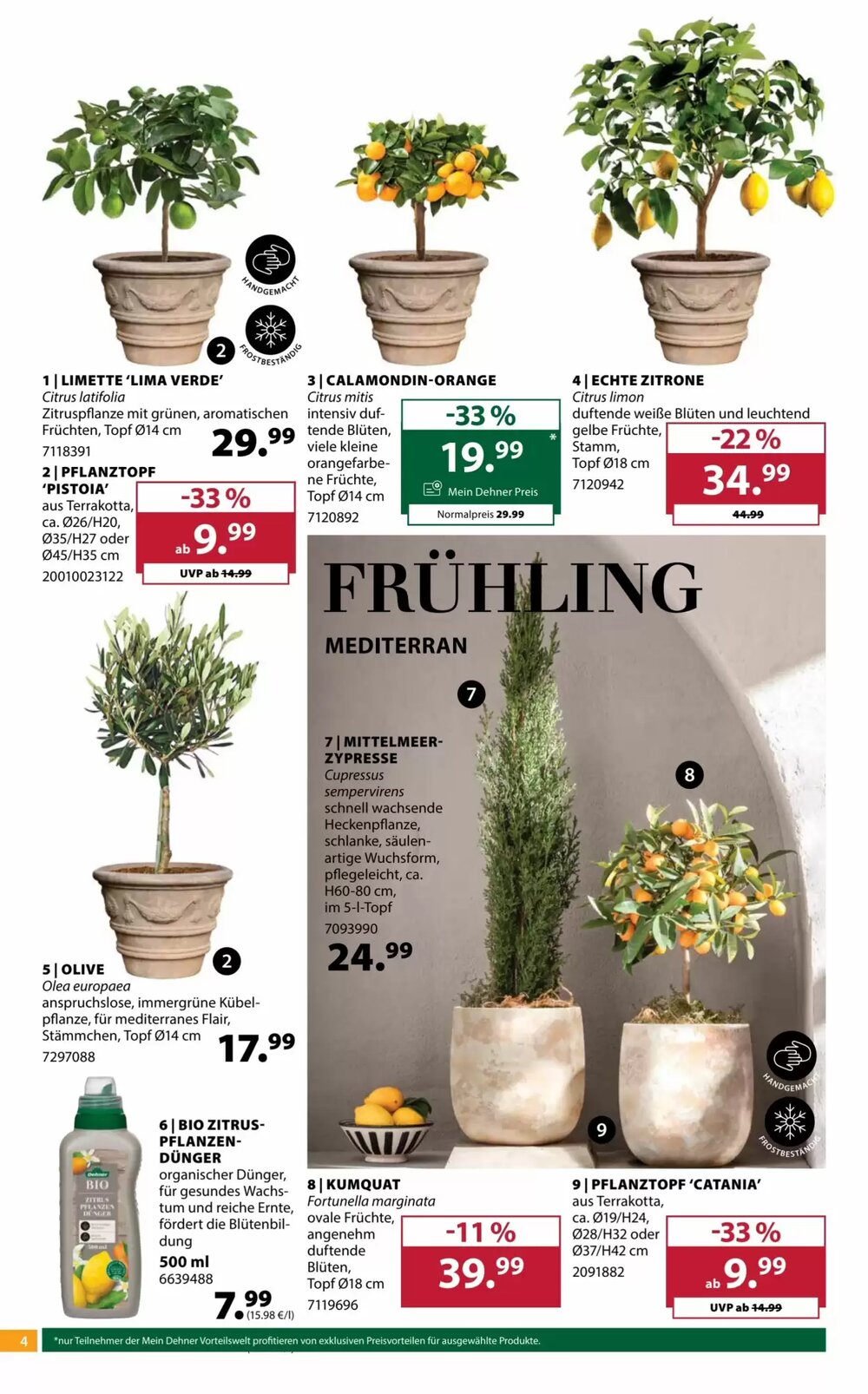 Dehner Flugblatt (ab 11.03.2026) - Angebote und Prospekt - Seite 4