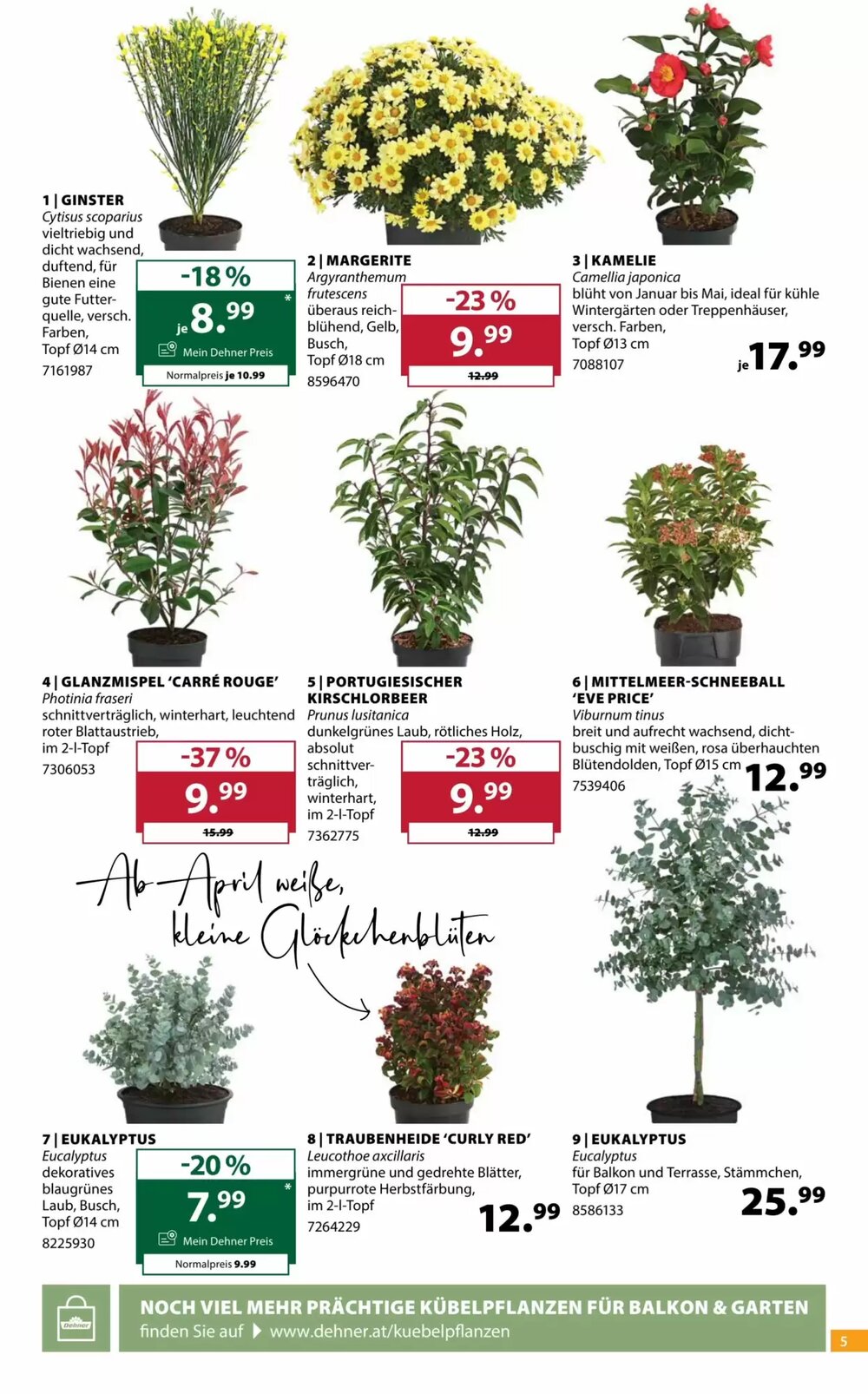 Dehner Flugblatt (ab 11.03.2026) - Angebote und Prospekt - Seite 5