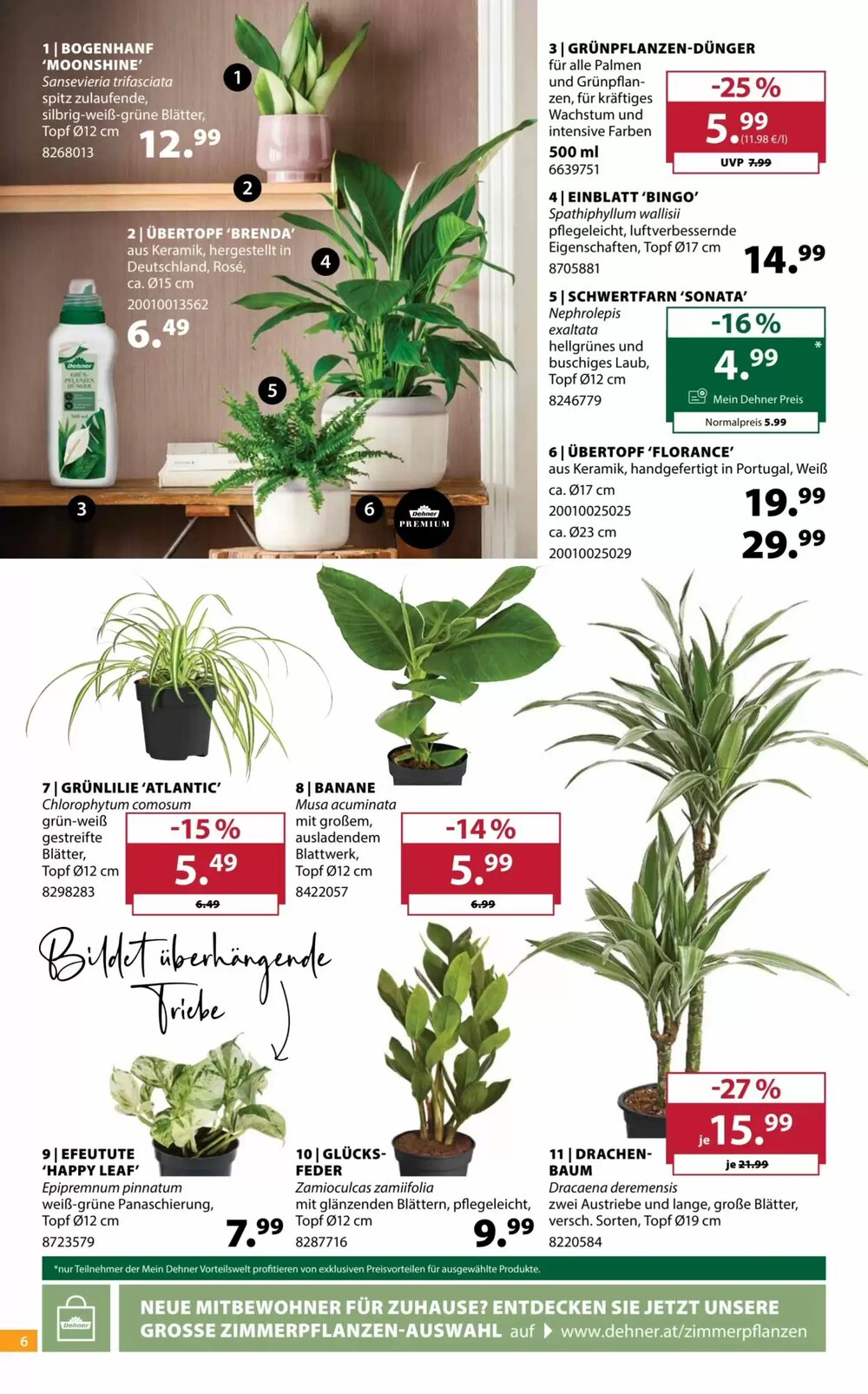 Dehner Flugblatt (ab 11.03.2026) - Angebote und Prospekt - Seite 6