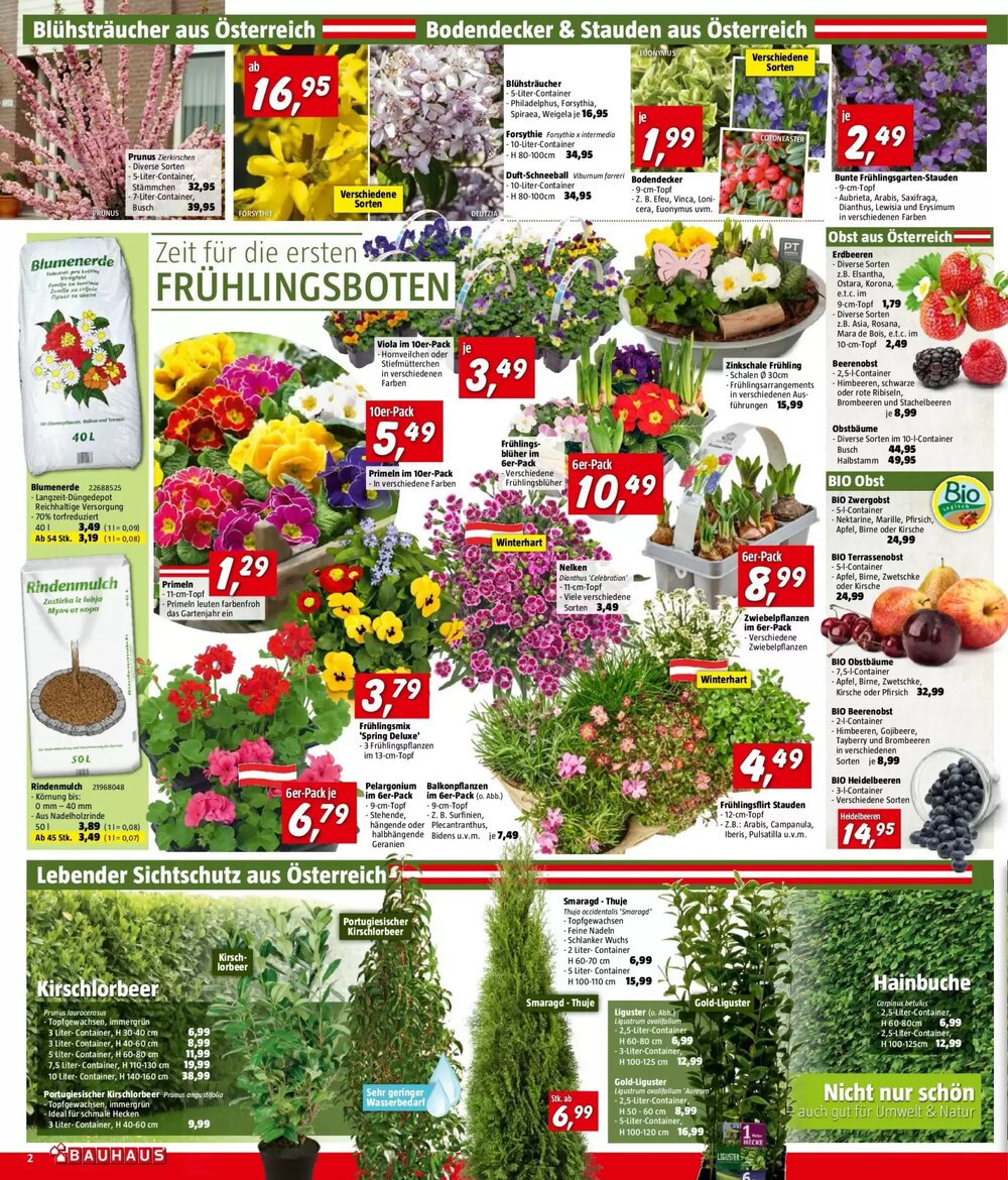 Bauhaus Flugblatt (ab 11.03.2026) - Angebote und Prospekt - Seite 2