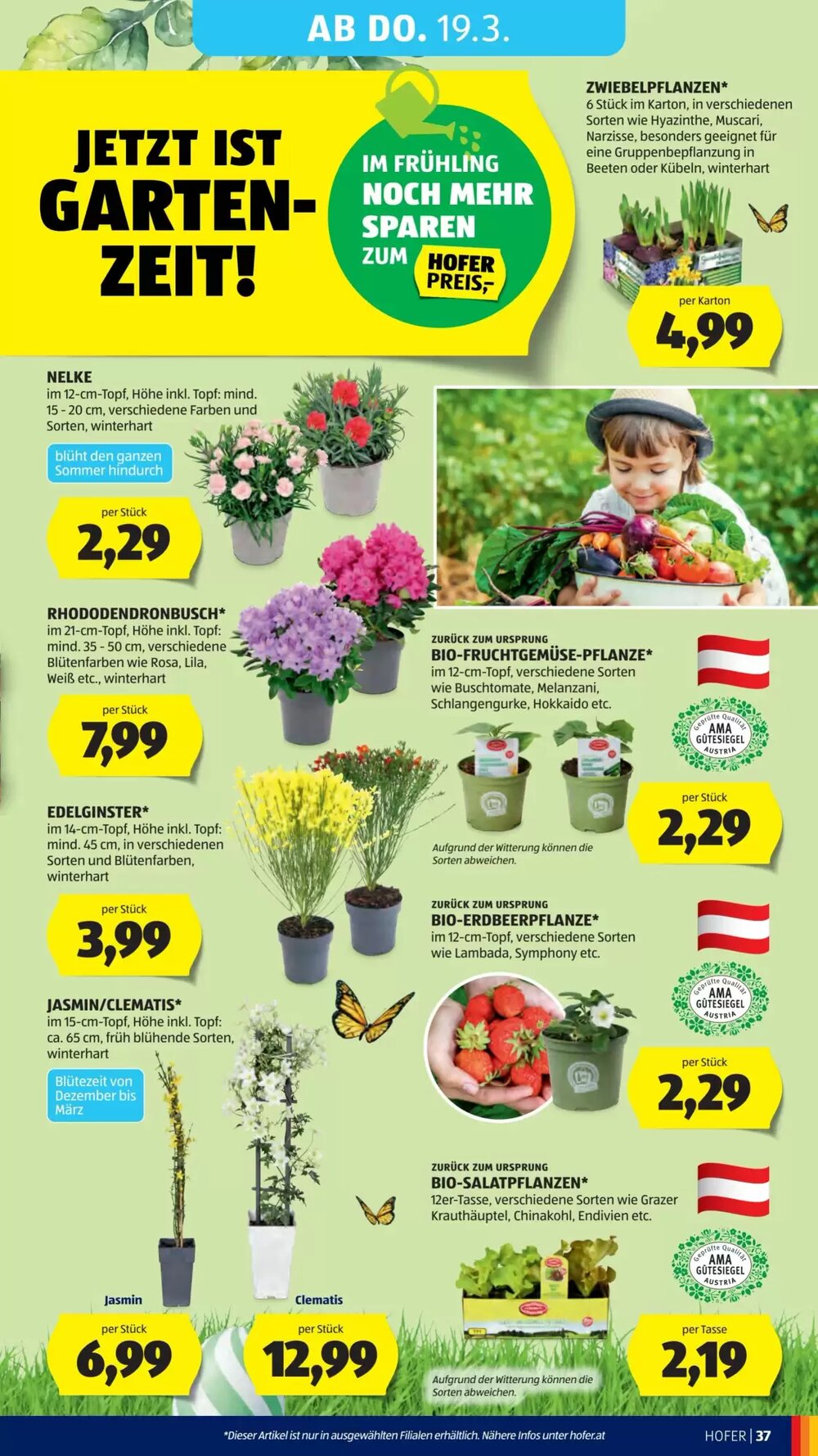 Hofer Flugblatt (ab 11.03.2026) - Angebote und Prospekt - Seite 44