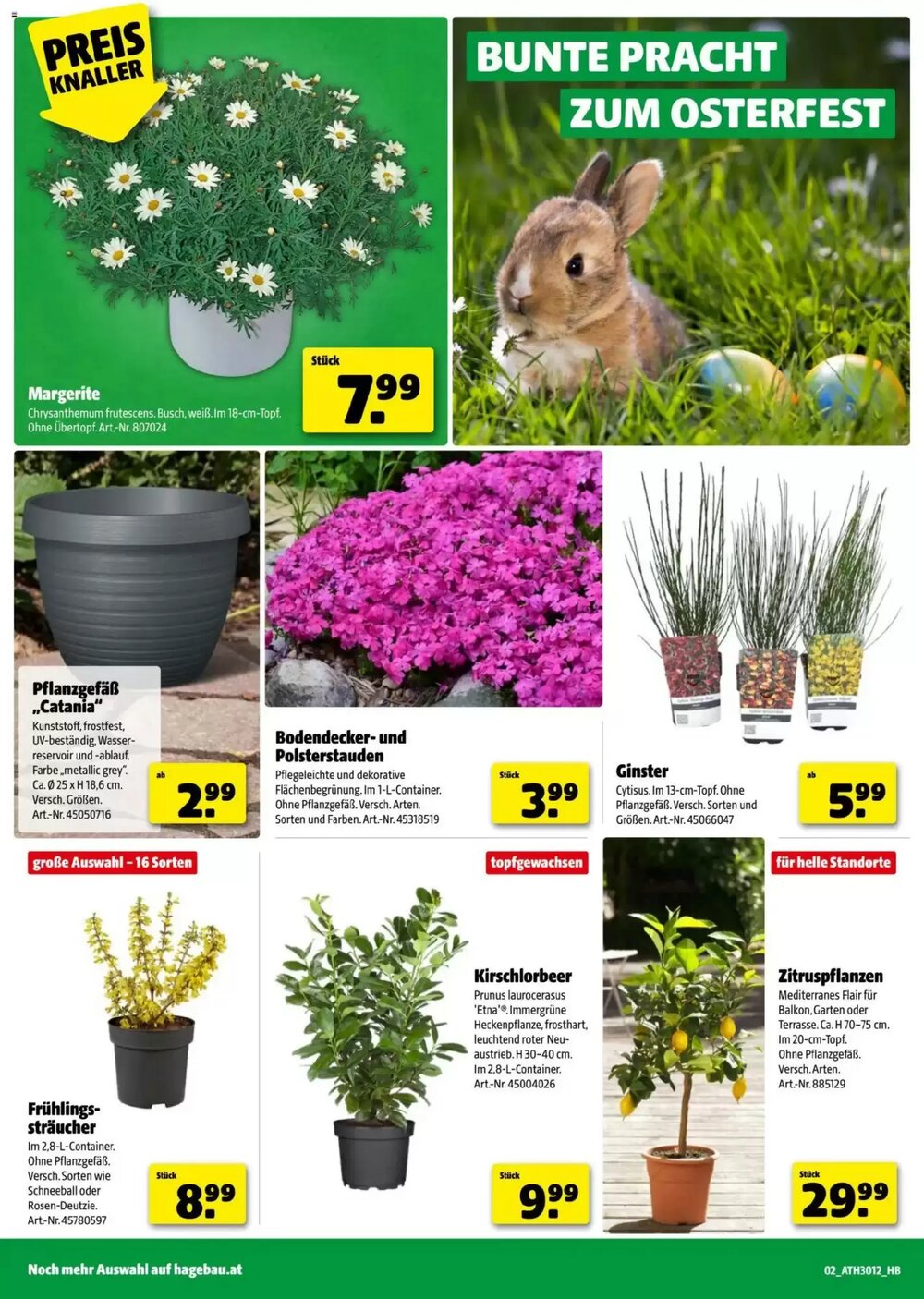 Hagebau Flugblatt (ab 11.03.2026) - Angebote und Prospekt - Seite 2