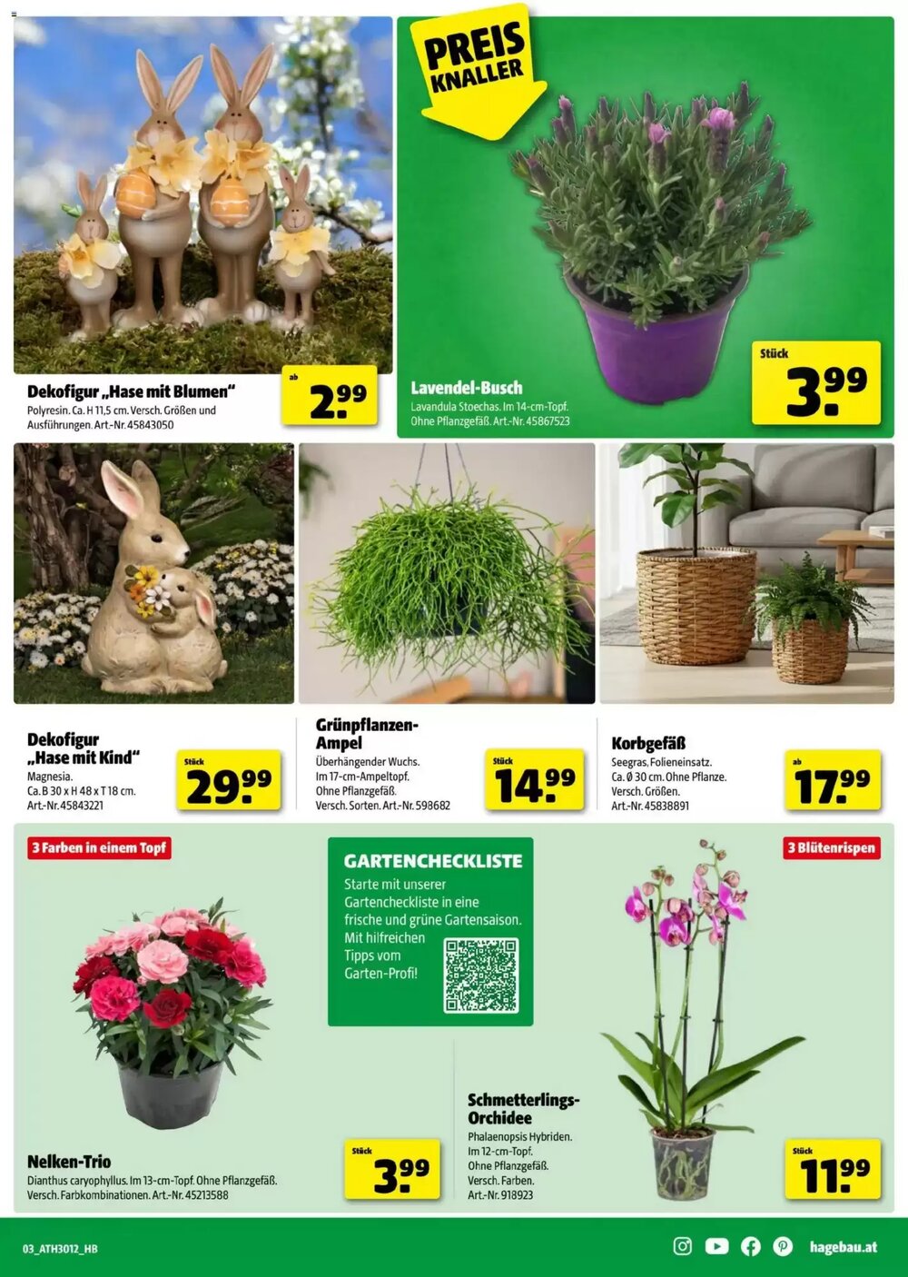 Hagebau Flugblatt (ab 11.03.2026) - Angebote und Prospekt - Seite 3