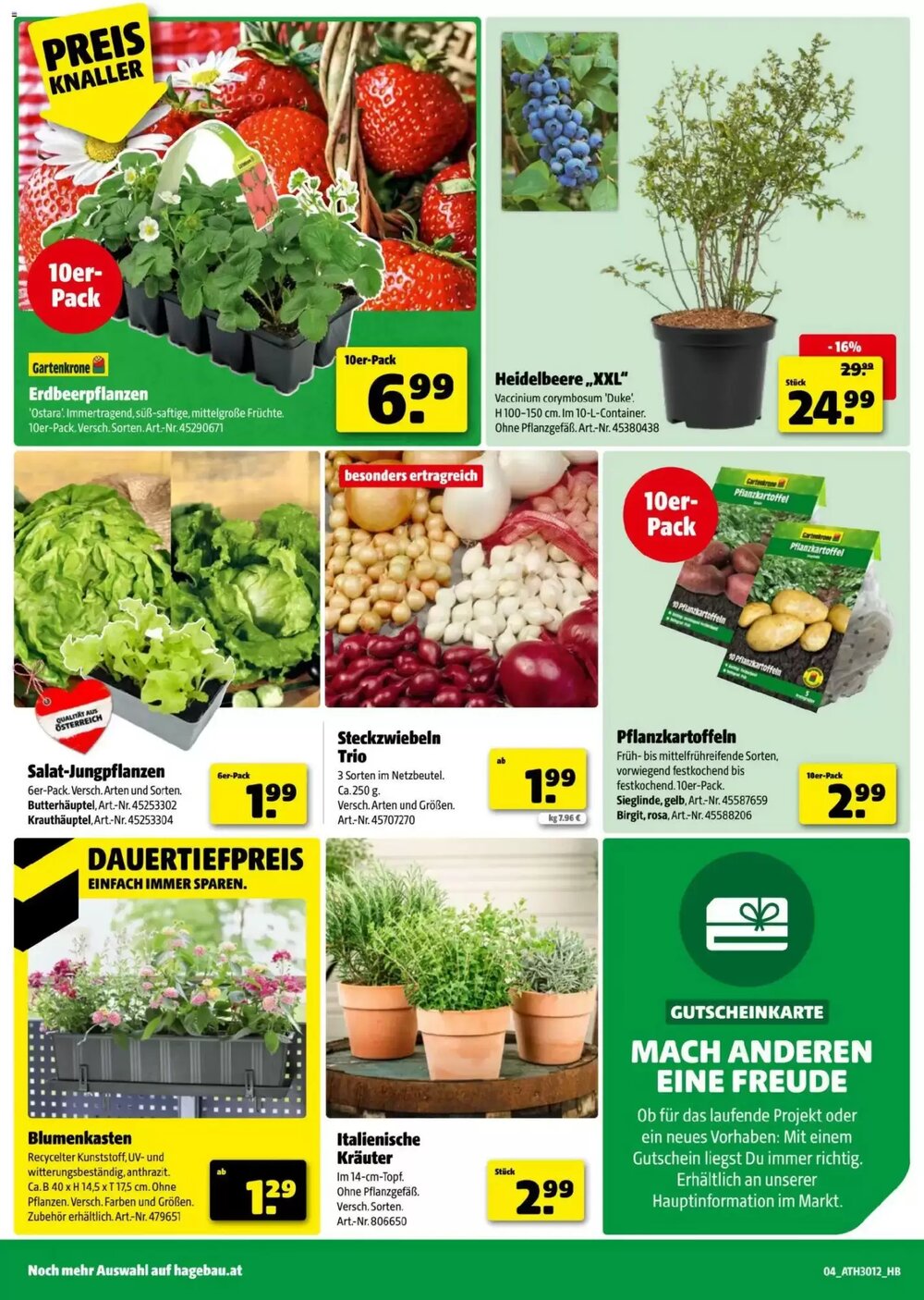 Hagebau Flugblatt (ab 11.03.2026) - Angebote und Prospekt - Seite 4