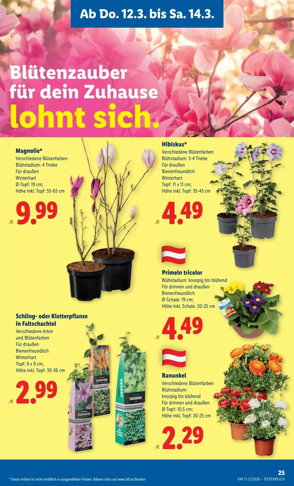Lidl Flugblatt (ab 12.03.2026) - Angebote und Prospekt - Seite 29