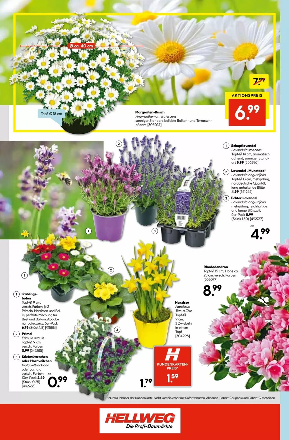 Hellweg Flugblatt (ab 12.03.2026) - Angebote und Prospekt - Seite 16