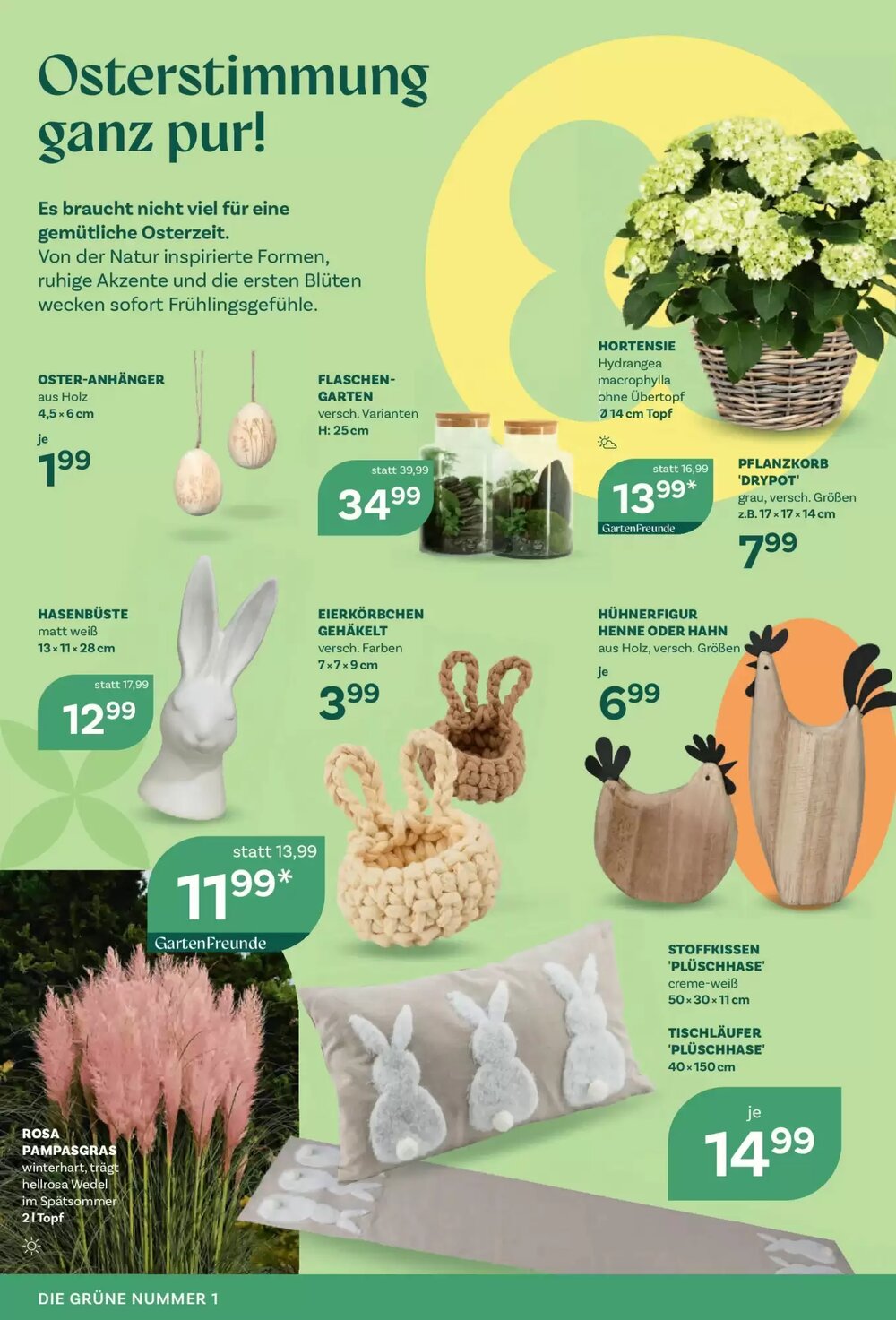 Bellaflora Flugblatt (ab 12.03.2026) - Angebote und Prospekt - Seite 2