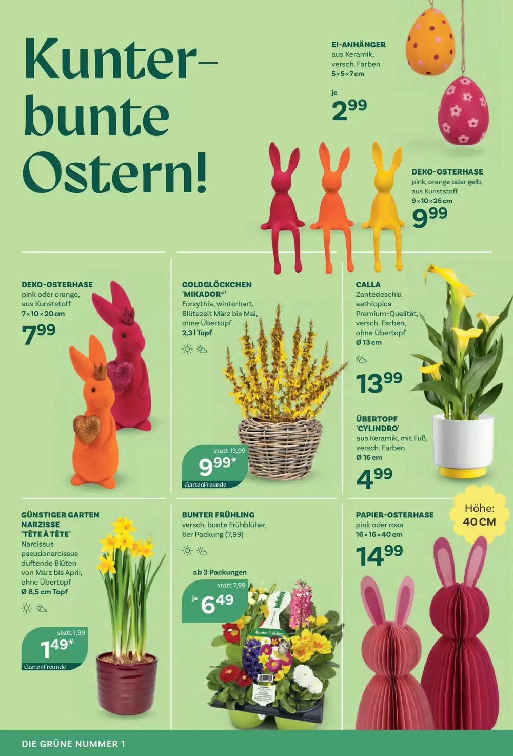 Bellaflora Flugblatt (ab 12.03.2026) - Angebote und Prospekt - Seite 4