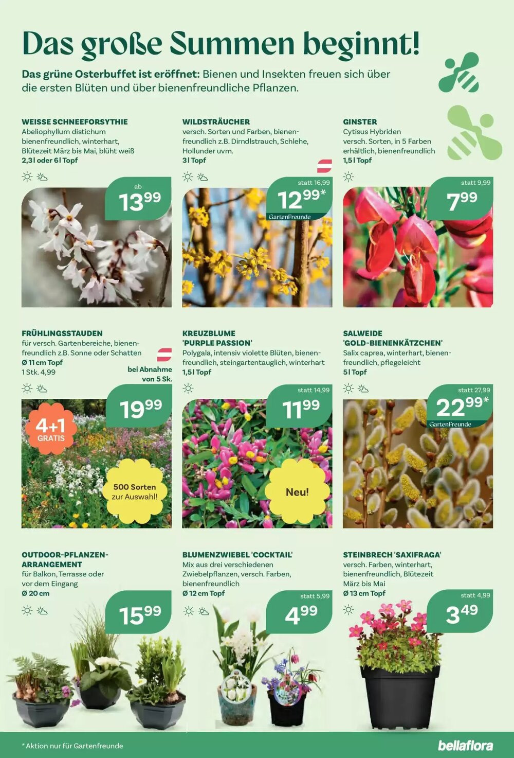 Bellaflora Flugblatt (ab 12.03.2026) - Angebote und Prospekt - Seite 7