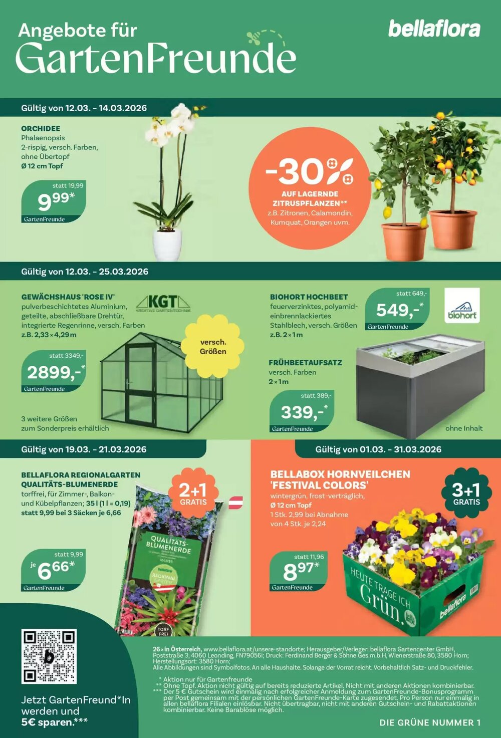 Bellaflora Flugblatt (ab 12.03.2026) - Angebote und Prospekt - Seite 8