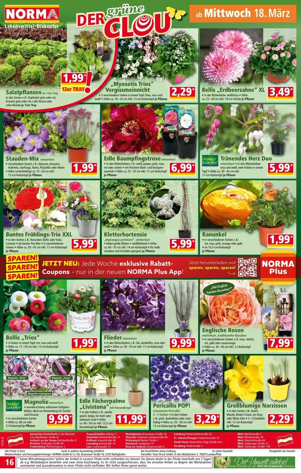 Norma Flugblatt (ab 16.03.2026) - Angebote und Prospekt - Seite 16
