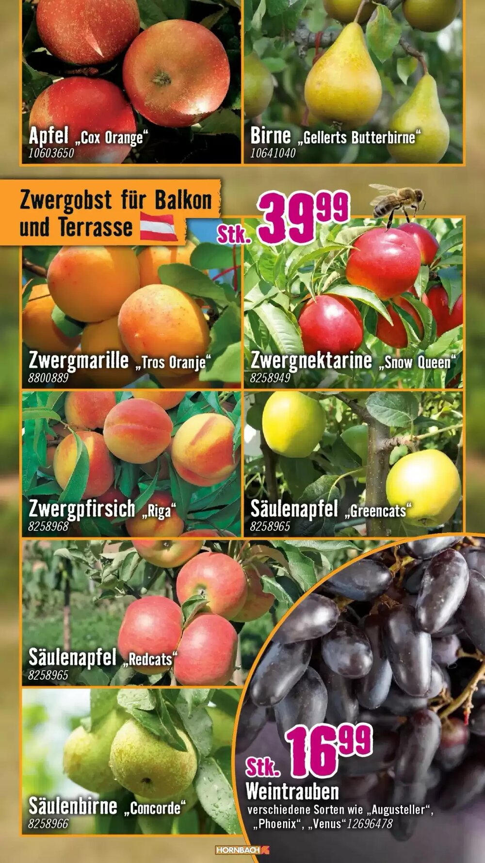 Hornbach Flugblatt (ab 18.03.2026) - Angebote und Prospekt - Seite 15