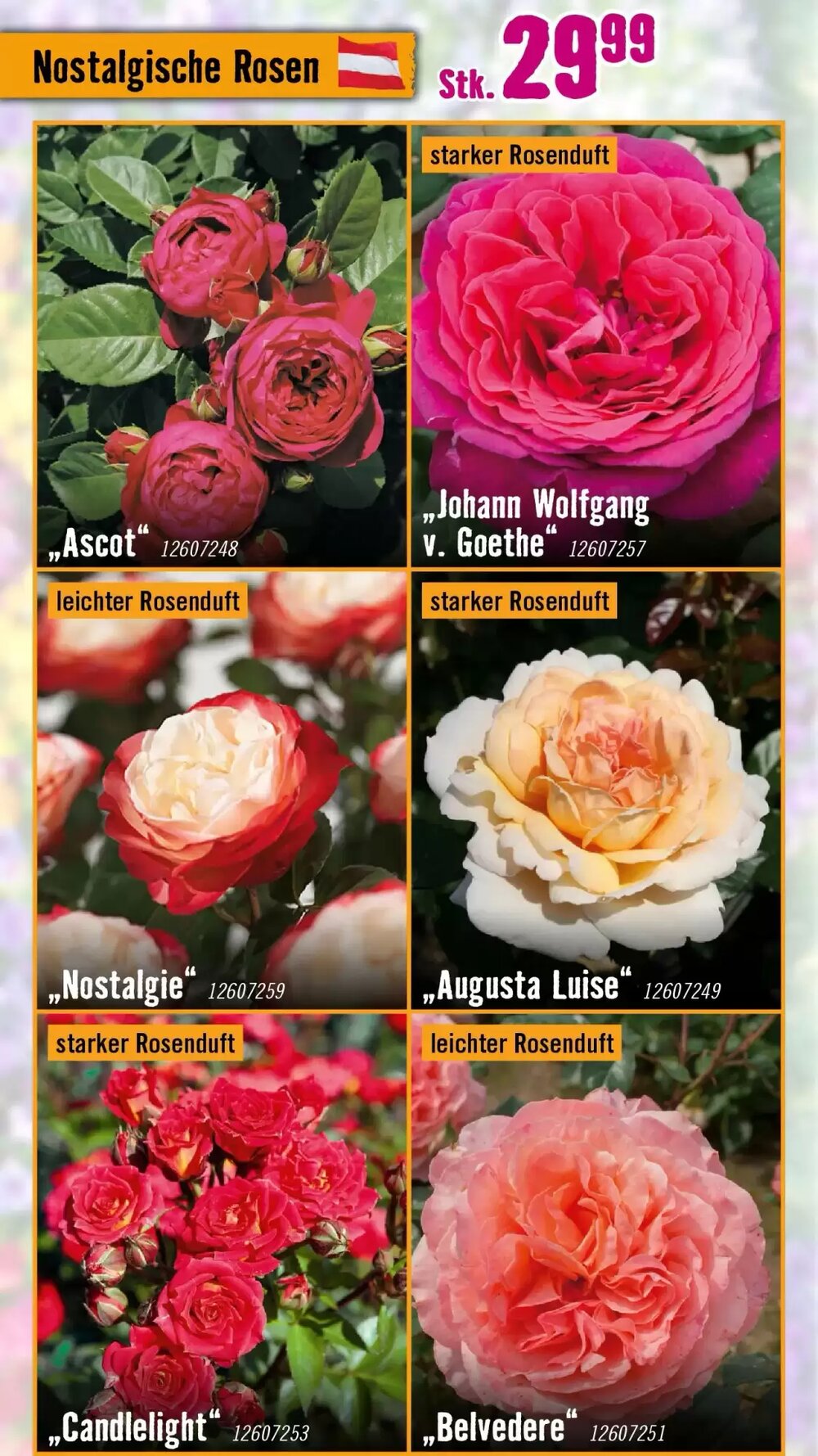 Hornbach Flugblatt (ab 18.03.2026) - Angebote und Prospekt - Seite 17