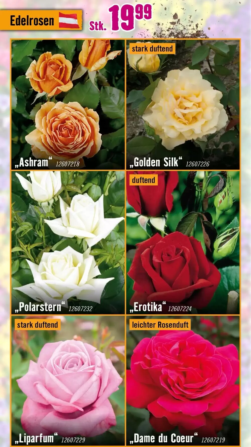 Hornbach Flugblatt (ab 18.03.2026) - Angebote und Prospekt - Seite 18