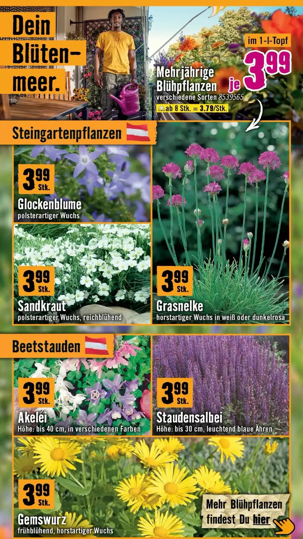 Hornbach Flugblatt (ab 18.03.2026) - Angebote und Prospekt - Seite 2