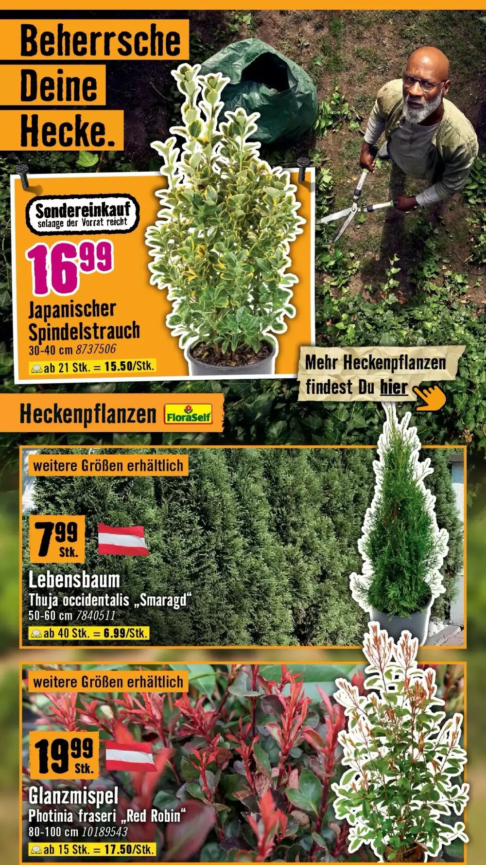 Hornbach Flugblatt (ab 18.03.2026) - Angebote und Prospekt - Seite 20