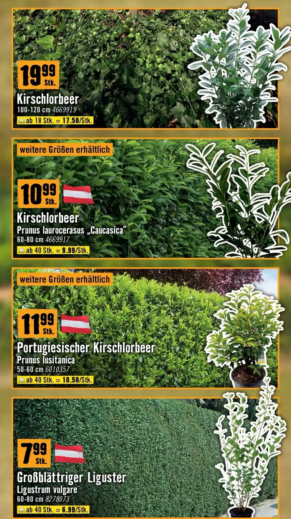Hornbach Flugblatt (ab 18.03.2026) - Angebote und Prospekt - Seite 21