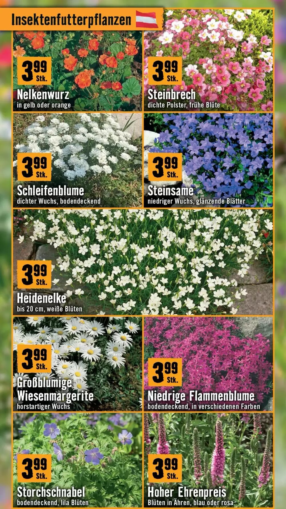 Hornbach Flugblatt (ab 18.03.2026) - Angebote und Prospekt - Seite 3