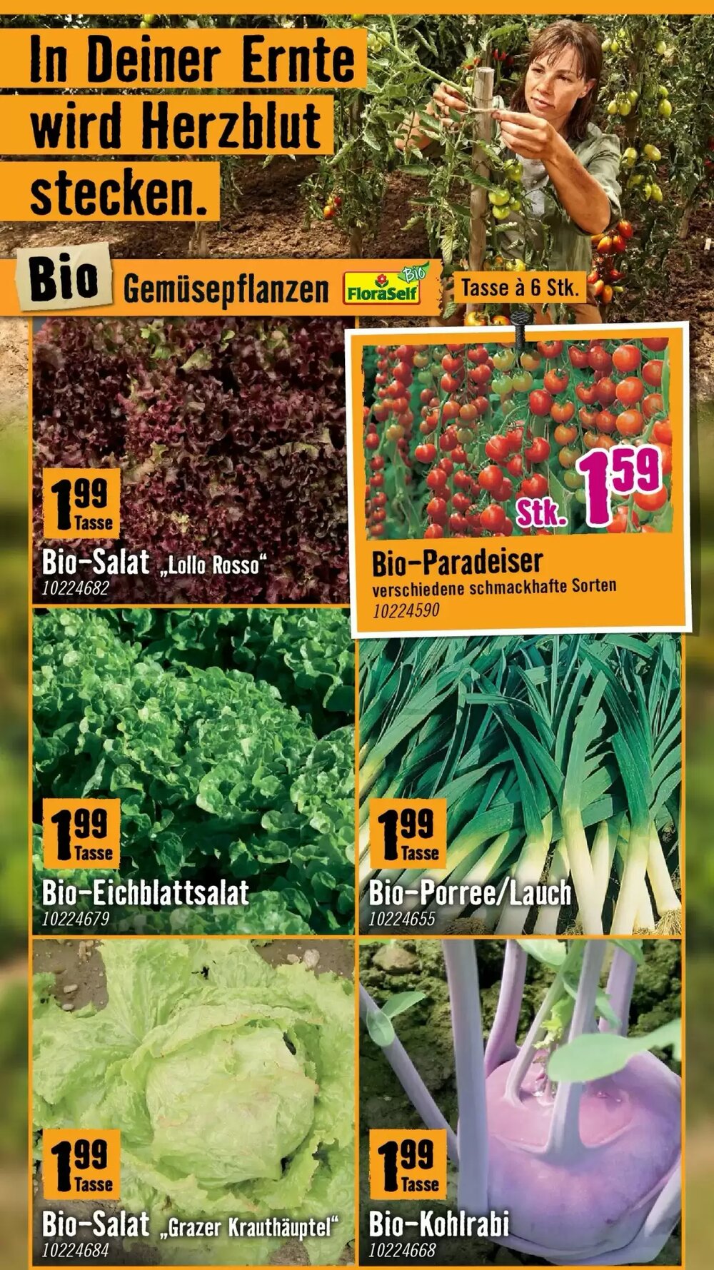 Hornbach Flugblatt (ab 18.03.2026) - Angebote und Prospekt - Seite 8