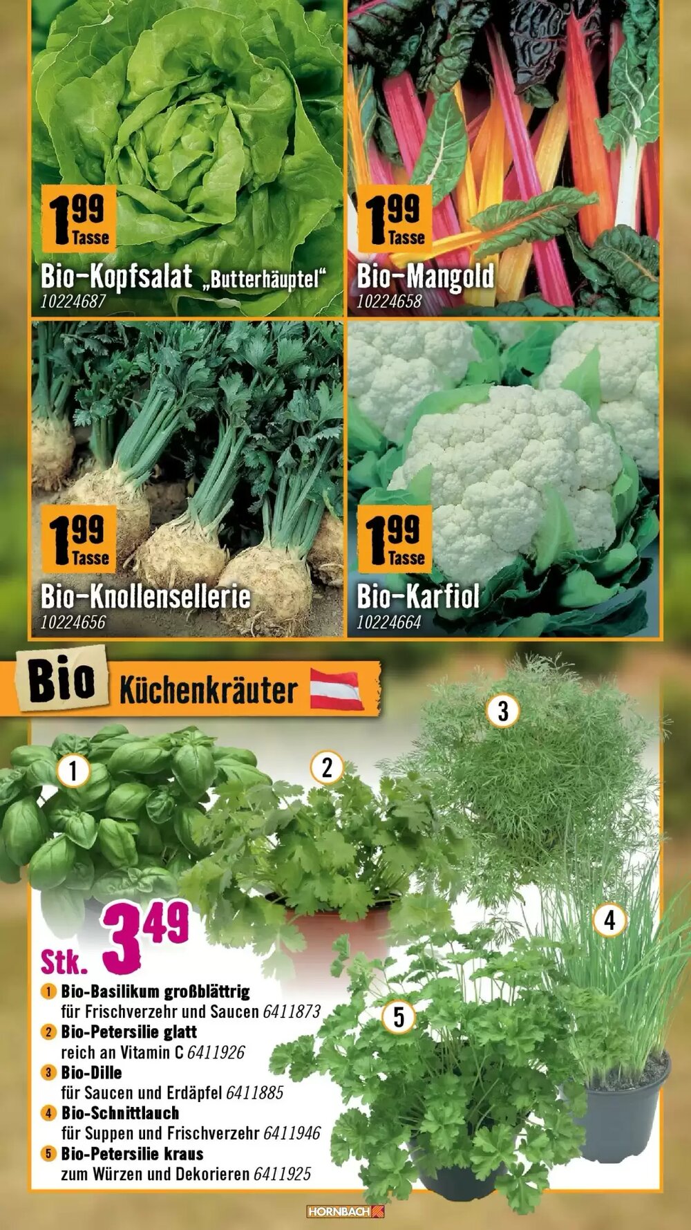 Hornbach Flugblatt (ab 18.03.2026) - Angebote und Prospekt - Seite 9