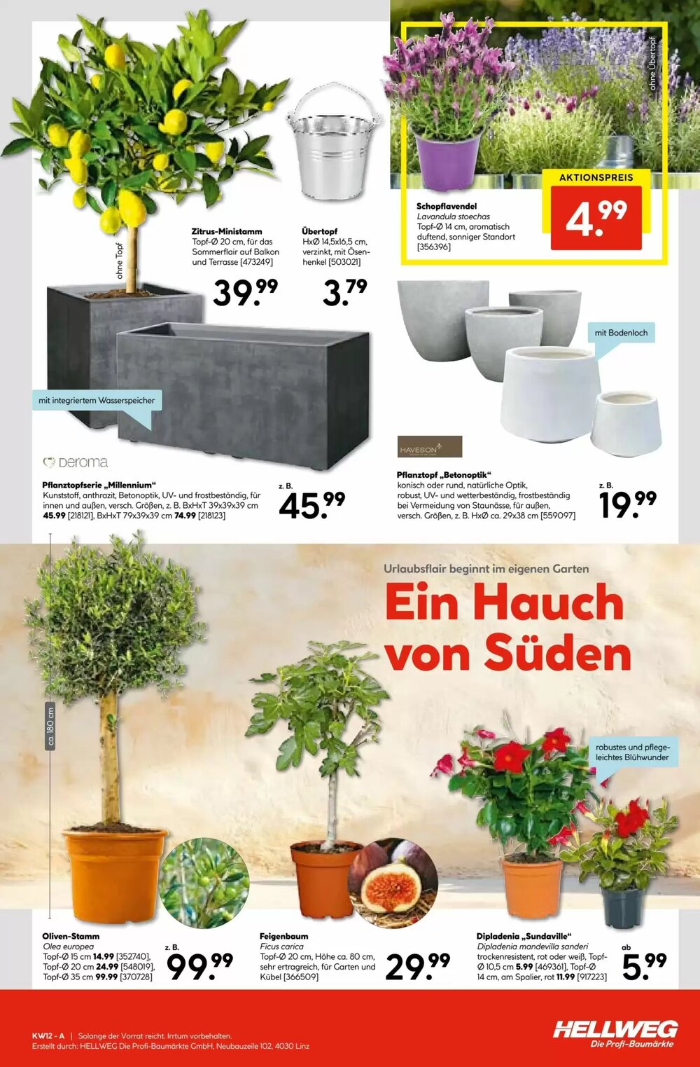 Hellweg Flugblatt (ab 19.03.2026) - Angebote und Prospekt - Seite 15