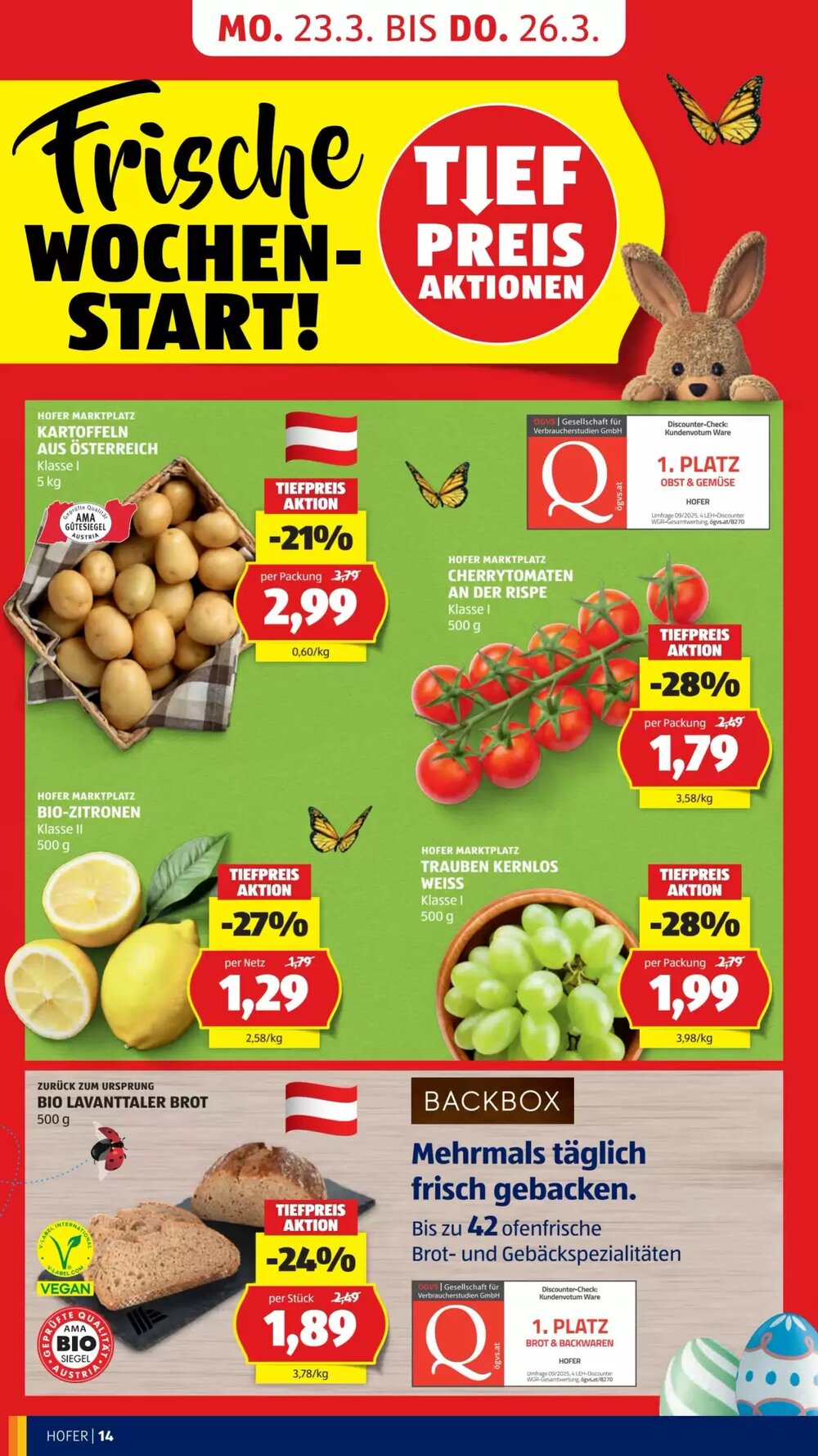 Hofer Flugblatt (ab 20.03.2026) - Angebote und Prospekt - Seite 20