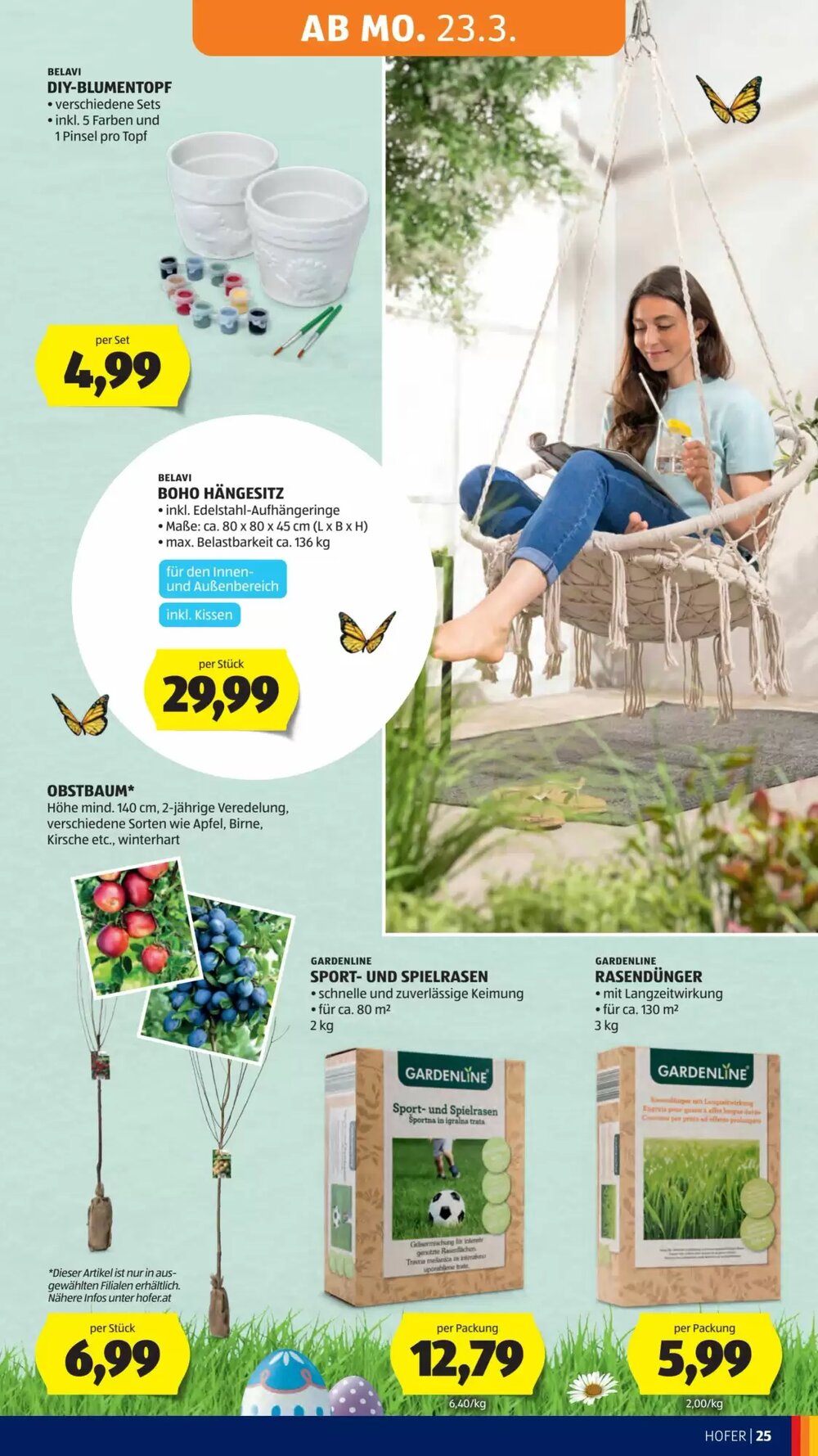 Hofer Flugblatt (ab 20.03.2026) - Angebote und Prospekt - Seite 33