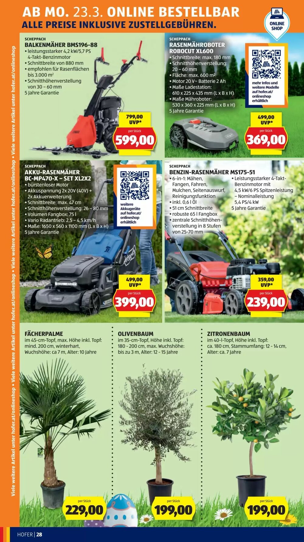 Hofer Flugblatt (ab 20.03.2026) - Angebote und Prospekt - Seite 36