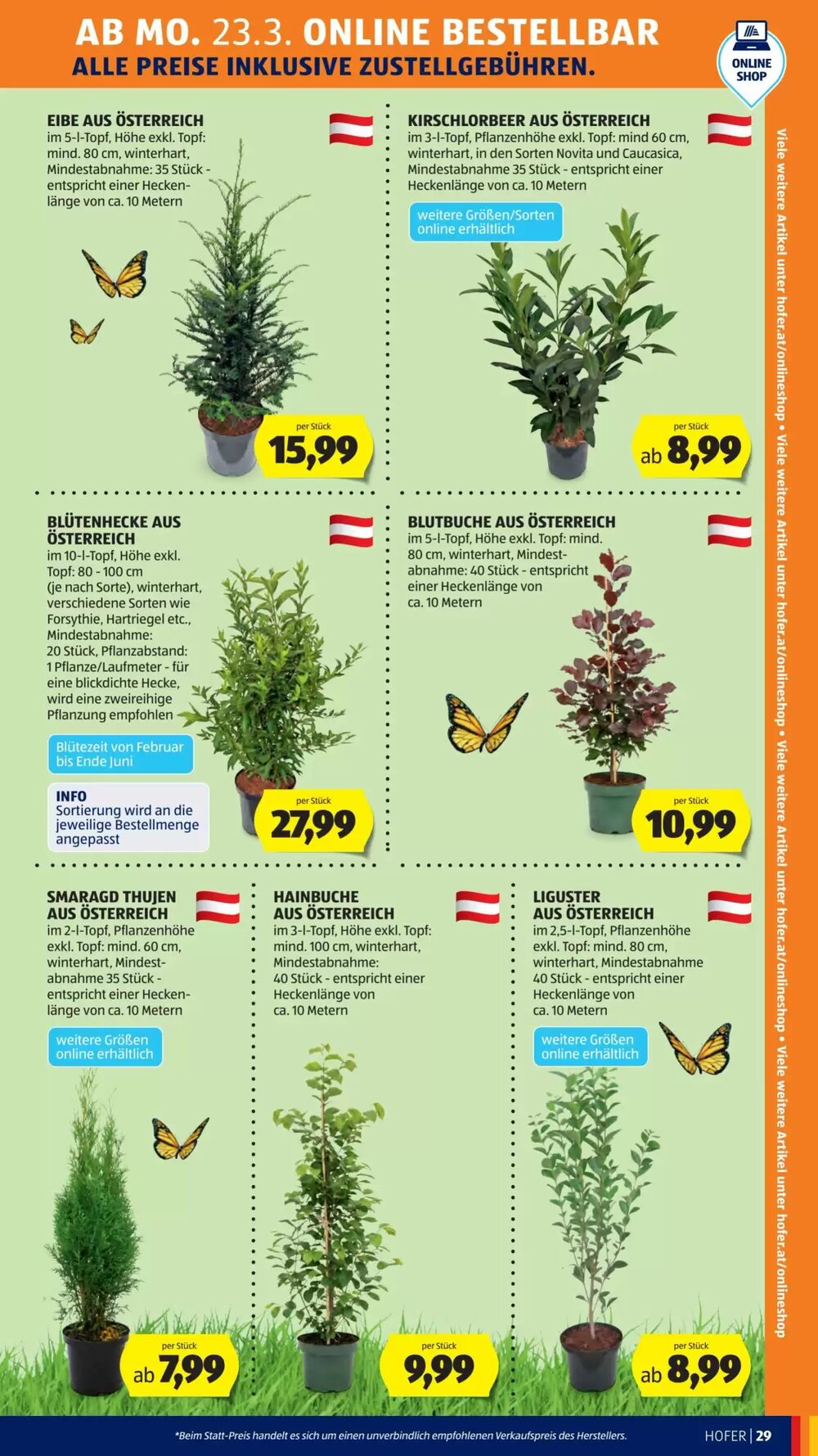 Hofer Flugblatt (ab 20.03.2026) - Angebote und Prospekt - Seite 37