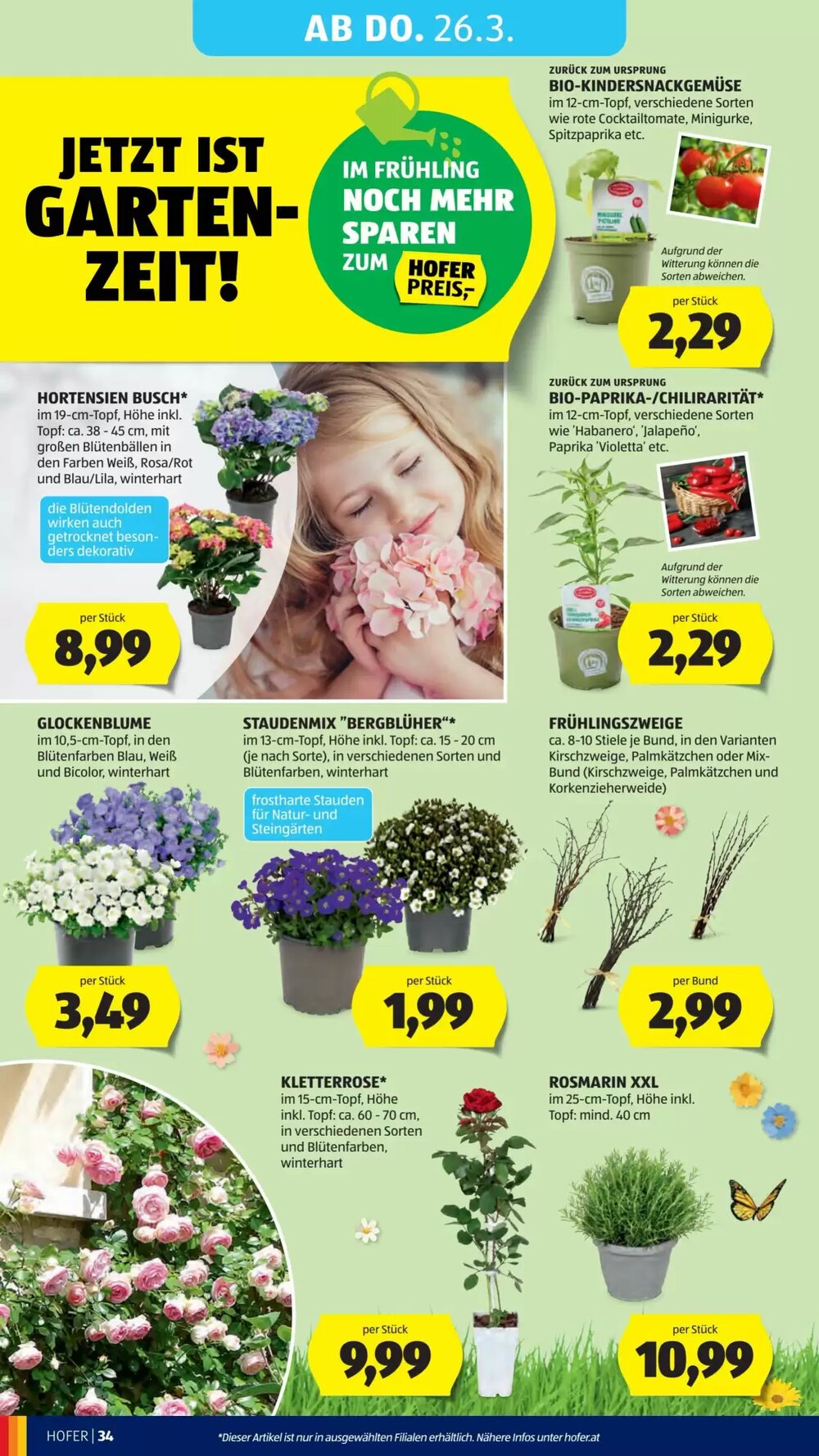 Hofer Flugblatt (ab 20.03.2026) - Angebote und Prospekt - Seite 42