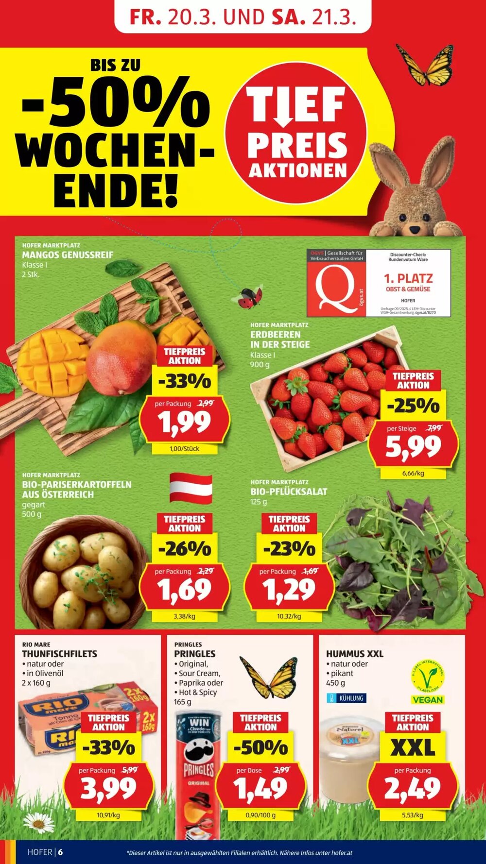 Hofer Flugblatt (ab 20.03.2026) - Angebote und Prospekt - Seite 8