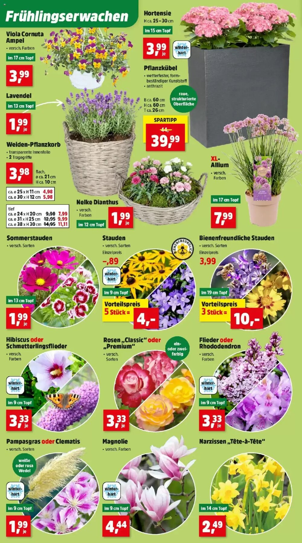 Thomas Philipps Flugblatt (ab 23.03.2026) - Angebote und Prospekt - Seite 4