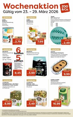 ZOO & Co Flugblatt (ab 23.03.2026) - Angebote und Prospekt