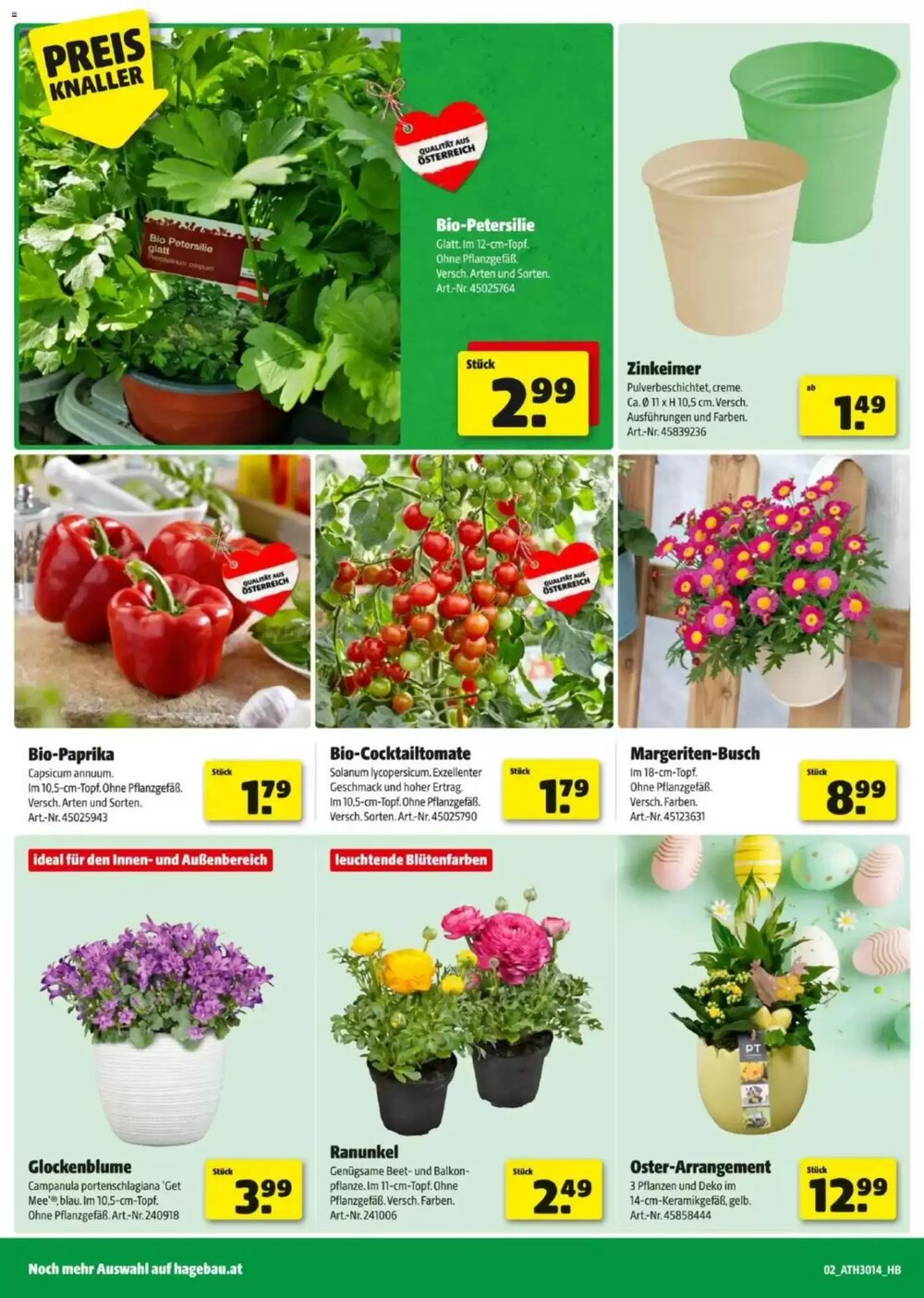 Hagebau Flugblatt (ab 24.03.2026) - Angebote und Prospekt - Seite 2