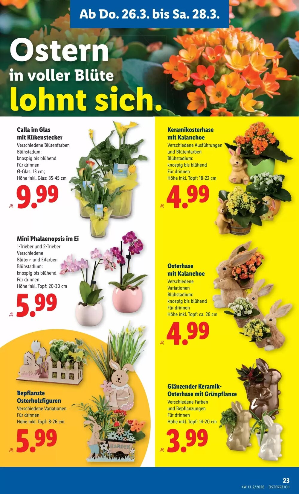 Lidl Flugblatt (ab 26.03.2026) - Angebote und Prospekt - Seite 25